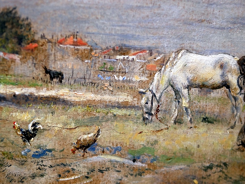 S P1540386.JPG